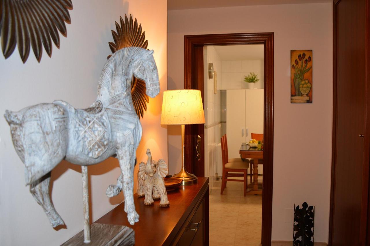 Duplex Concheiros